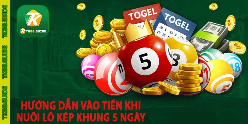 Hướng dẫn vào tiền khi nuôi lô kép khung 5 ngày